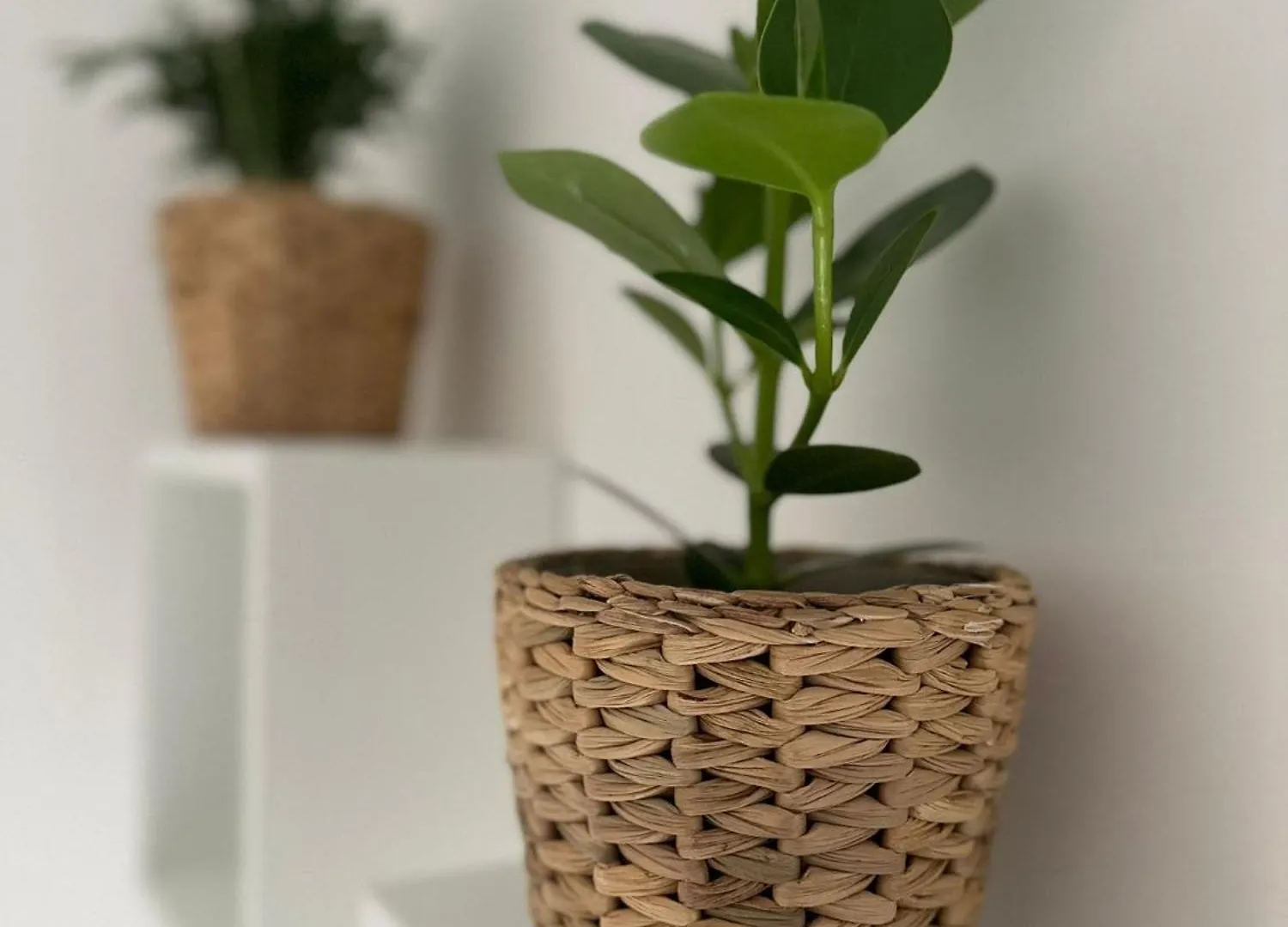 Apartamento Alloggio Turistico Gloria Roma